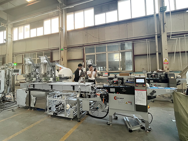 1-10片裝雙機頭背封濕巾機生產視頻